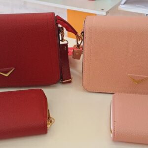 cartera y monedero